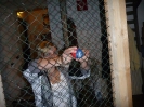 2011_Dart_Wuzelturnier_6