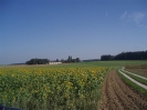 2011_Erntekronebinden_36