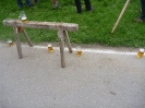 2011_Maibaumaufstellen_22