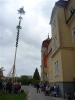 2011_Maibaumaufstellen_33