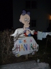 2011_Storchaufstellen-Kalki_19