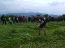 2012_Bezirksmaehen_16