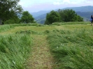 2012_Bezirksmaehen_24