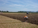 2012_Bezirkspfluegen_16
