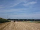 2012_Bezirkspfluegen_1