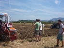 2012_Bezirkspfluegen_21