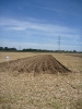 2012_Bezirkspfluegen_28