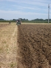 2012_Bezirkspfluegen_31
