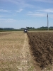 2012_Bezirkspfluegen_4