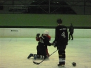 2012_Eishockeyspiel_123