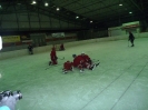 2012_Eishockeyspiel_130
