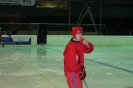 2012_Eishockeyspiel_13