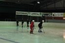2012_Eishockeyspiel_14