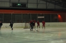 2012_Eishockeyspiel_15