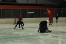 2012_Eishockeyspiel_19