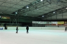2012_Eishockeyspiel_1