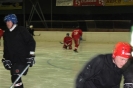 2012_Eishockeyspiel_20