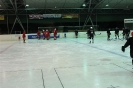 2012_Eishockeyspiel_22