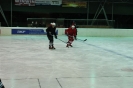 2012_Eishockeyspiel_26