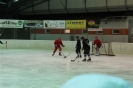 2012_Eishockeyspiel_27