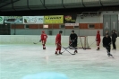 2012_Eishockeyspiel_28