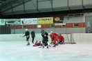 2012_Eishockeyspiel_29