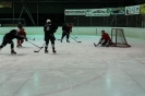 2012_Eishockeyspiel_37