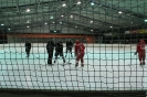 2012_Eishockeyspiel_38
