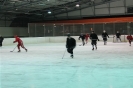 2012_Eishockeyspiel_39
