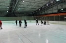 2012_Eishockeyspiel_44