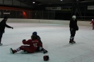 2012_Eishockeyspiel_4