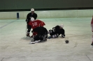 2012_Eishockeyspiel_53