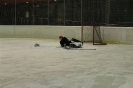 2012_Eishockeyspiel_54