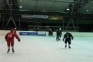 2012_Eishockeyspiel_5