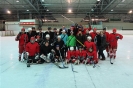 2012_Eishockeyspiel_68