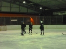 2012_Eishockeyspiel_72