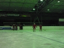 2012_Eishockeyspiel_74