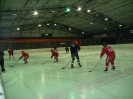 2012_Eishockeyspiel_76