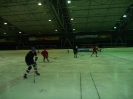 2012_Eishockeyspiel_82