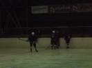 2012_Eishockeyspiel_84