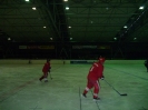 2012_Eishockeyspiel_94