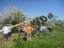 2012_Maibaum aufstellen_24