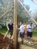 2012_Maibaum aufstellen_42