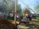 2012_Maibaum aufstellen_44