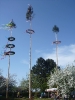 2012_Maibaum aufstellen_58