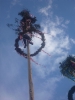 2012_Maibaum aufstellen_70