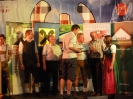 2013_landespflügen_48