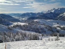 2013_Landesschitag_2