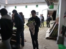 2013_TidH-Tafeln-kleben_62