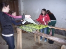 2013_TidH-Tafeln-kleben_63